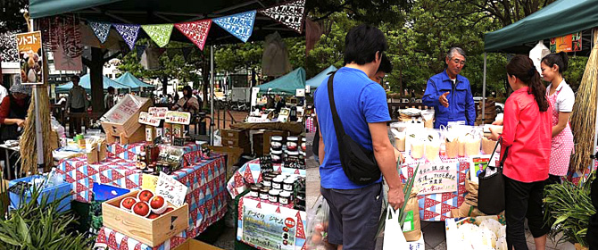 こめたび?秋田のお米を産地直送