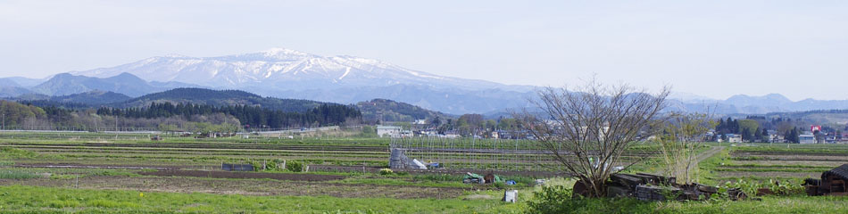 こめたび?秋田の旬を農家直送