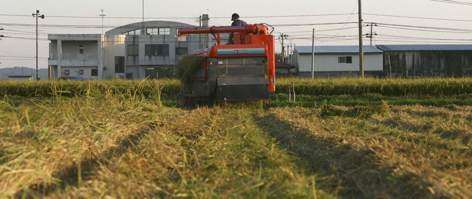 こめたび〜秋田の旬を農家直送