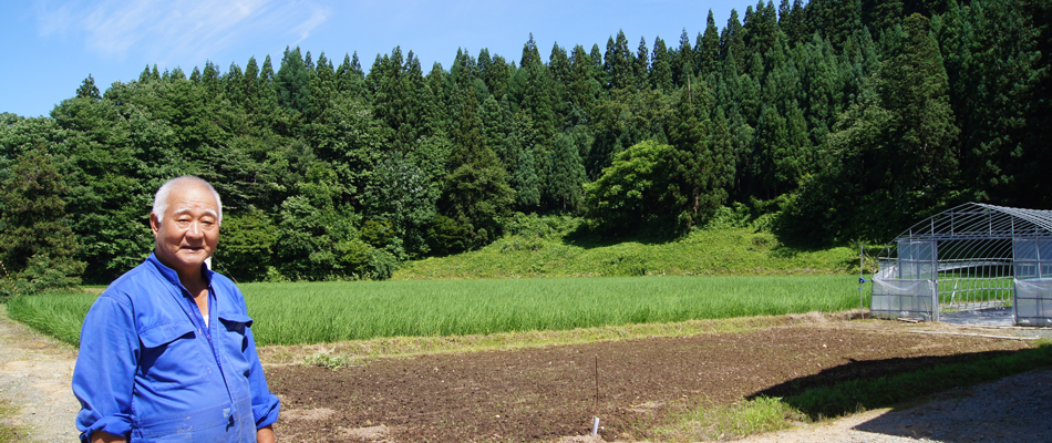 こめたび〜秋田の旬を農家直送