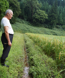 山からの沢水を田んぼへ引き込む